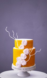 Two Tier Anniversary Cake