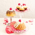 Mini Cupcakes + Mini Bundts